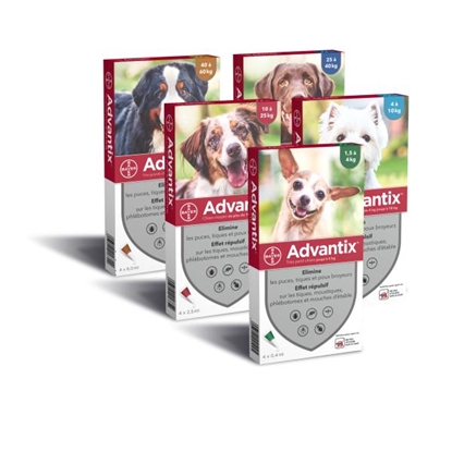 Picture of Bayer Advantix Spot-On for Dogs | Flea & Tick Control